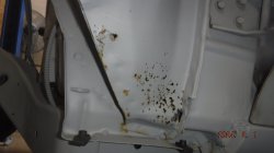 240301 Chevelle (2).JPG